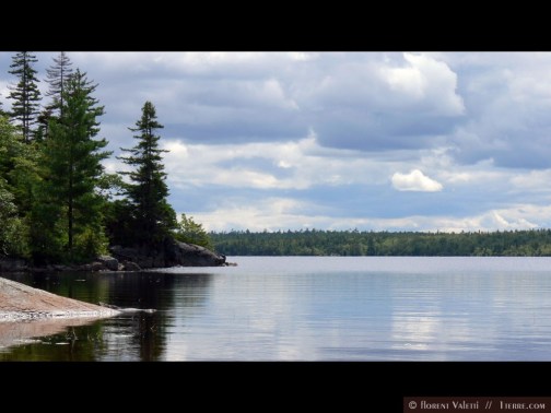 My PhD field site - Dollar Lake Provincial Park. Photo: FValetti