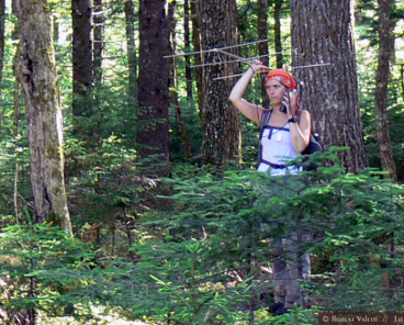 Tracking female northern long-eared bats in Dollar Lake Provincial Park. Photo: FValletti
