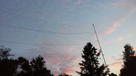 Mist-net. Photo: K.Patriquin