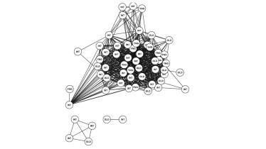 Northern long-eared bat network. from Patriquin et al. 2010