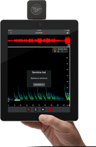 Echo Meter Touch bat detector. From wildlifeacoustics.com